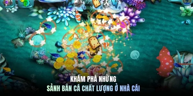 Khám phá những sảnh bắn cá chất lượng ở nhà cái